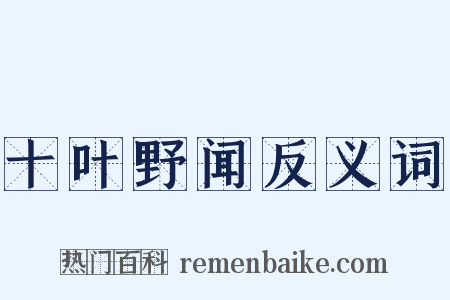十叶野闻反义词是什么意思的图片